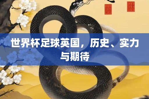 世界杯足球英国，历史、实漯河市盈旭机械设备有限公司力与期待
